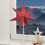 Rød s.stjerne Clara, fløyel-optikk, fot hvit