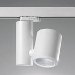 Projetor de calha LED Kent branco universal branco
