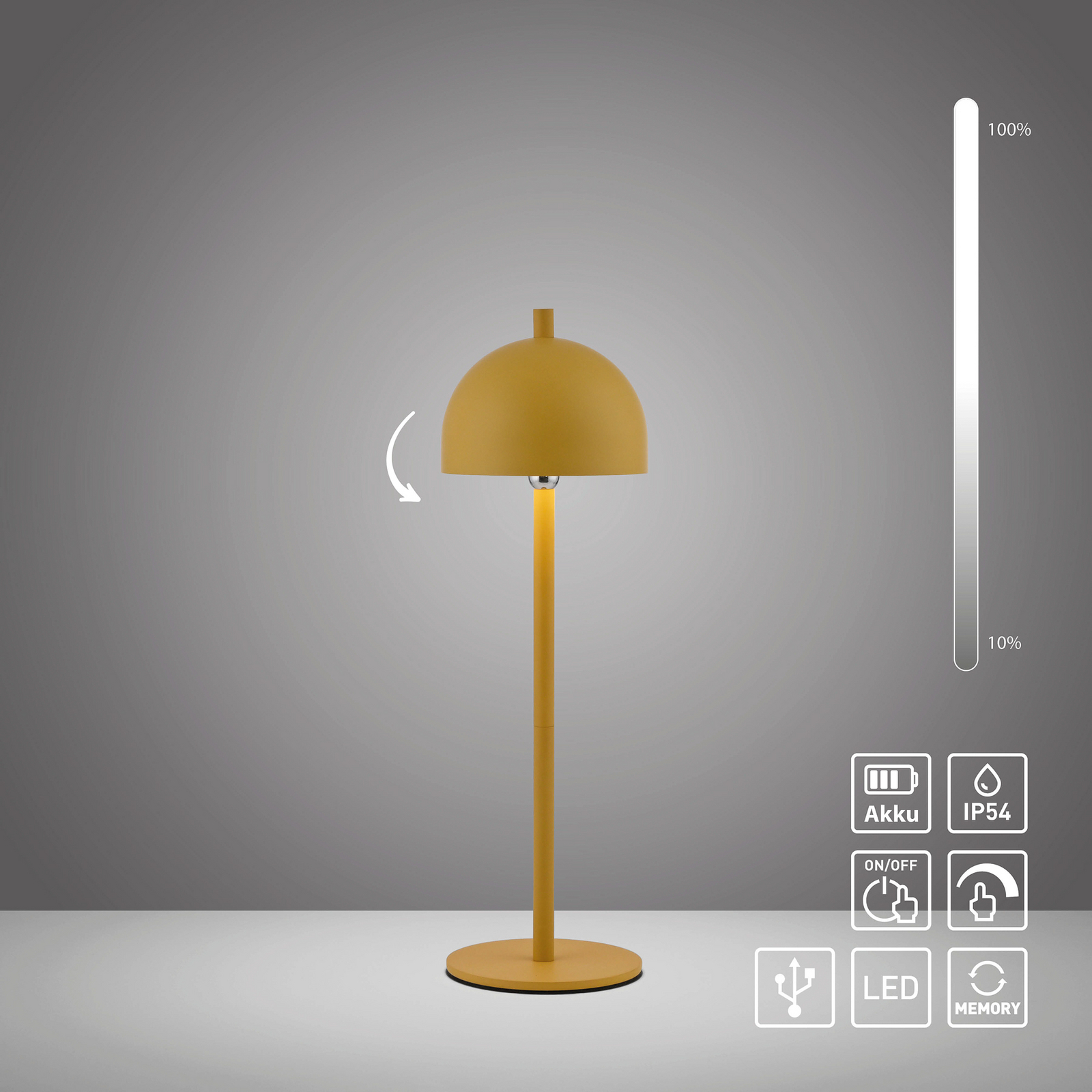 SCHÖNER WOHNEN LED-Akku-Tischlampe Bellies Blütenzauber IP54 SCHÖNER WOHNEN LED-Akku-Tischlampe Bellies Blütenzauber IP54