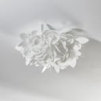 Slamp Veli Foliage Mini wall light, Ø 36 cm