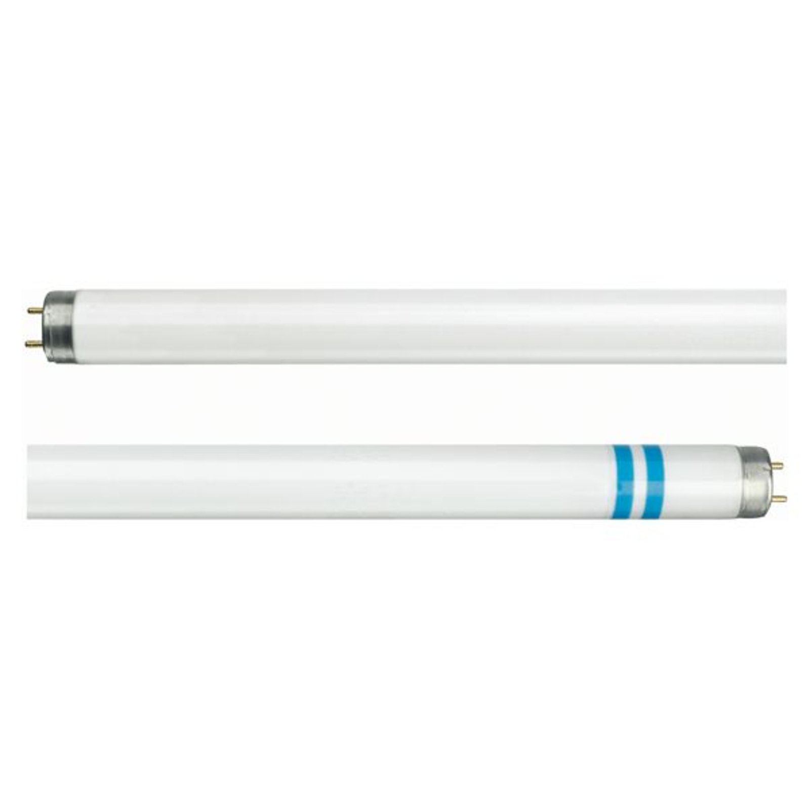 Philips G13 T8 tubo fluorescente protege astillado