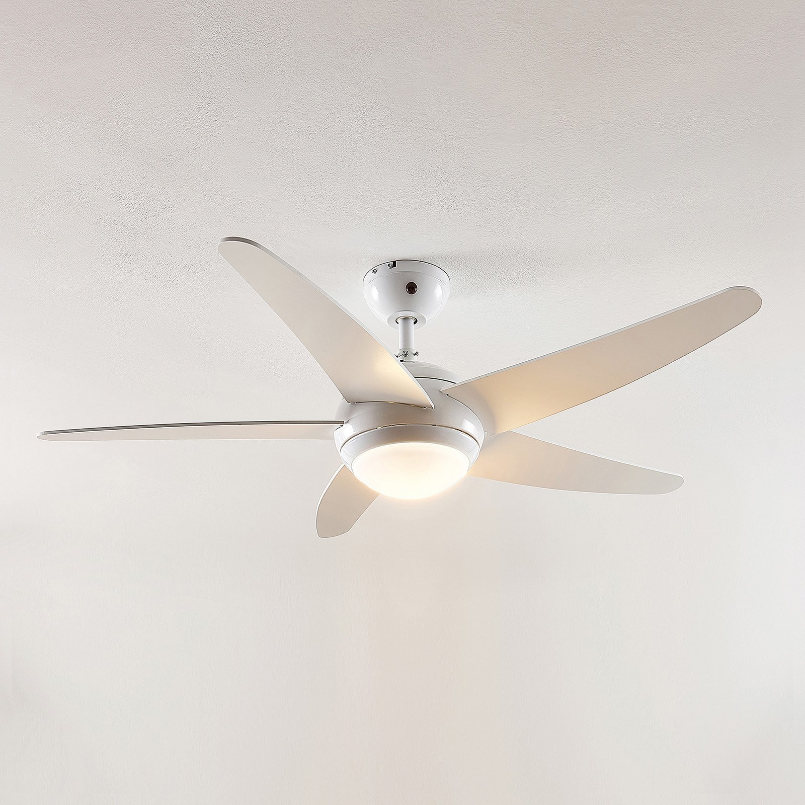 Compra Lindby Ranja ventilador de techo con bombilla R7s | Lampara.es