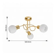 product size