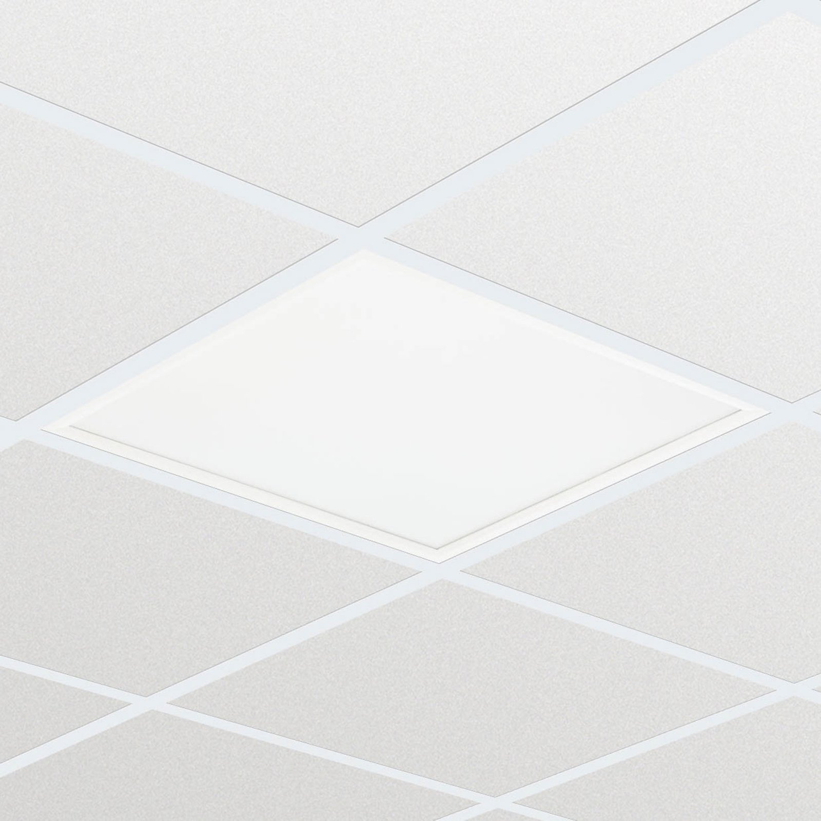 LED-Panel RC132V G4 LED W60L60 OC
