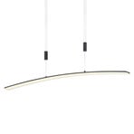 Dual LED pendant light with remote control, CCT