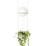 Vibia Palma 3724 hanging light, plant bowl, white