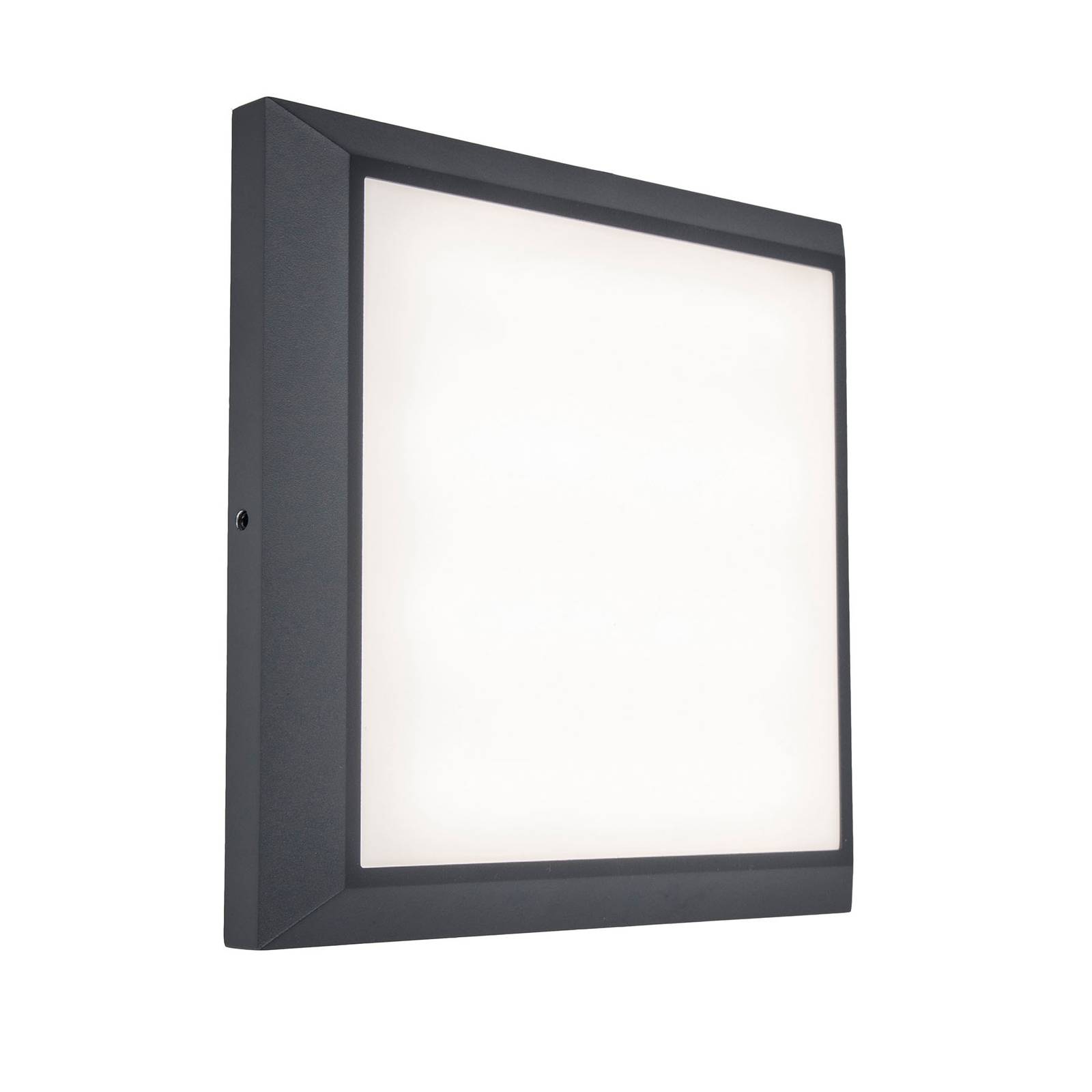 Eco-Light Helena LED ceiling light, length 22 cm - Flush Ceiling Light - Modern - Black