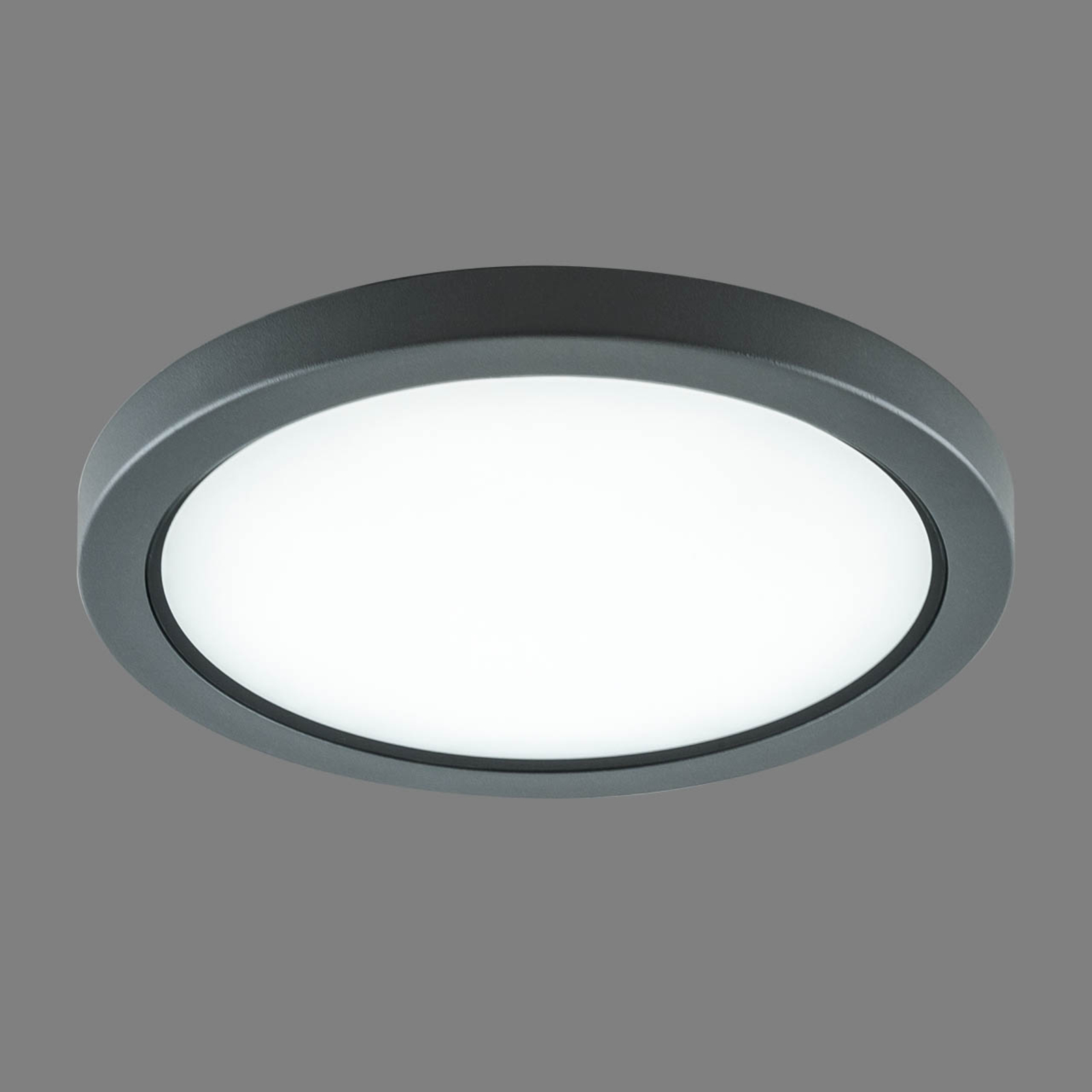 EVN Tectum LED udendørs loftlampe, rund med glas