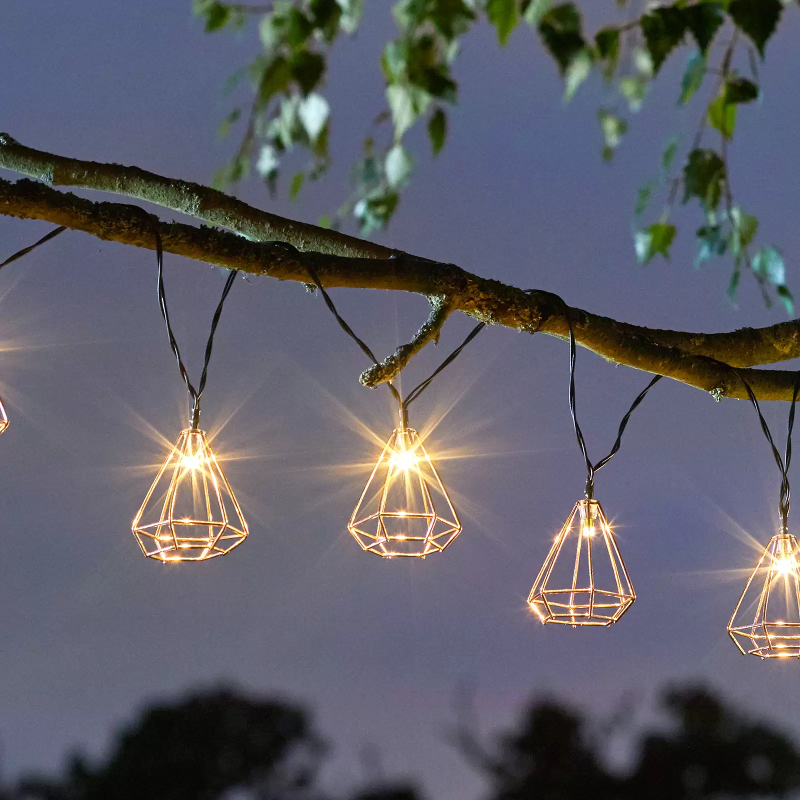 Guirlande lumineuse extérieur en corde 10 ampoules filament