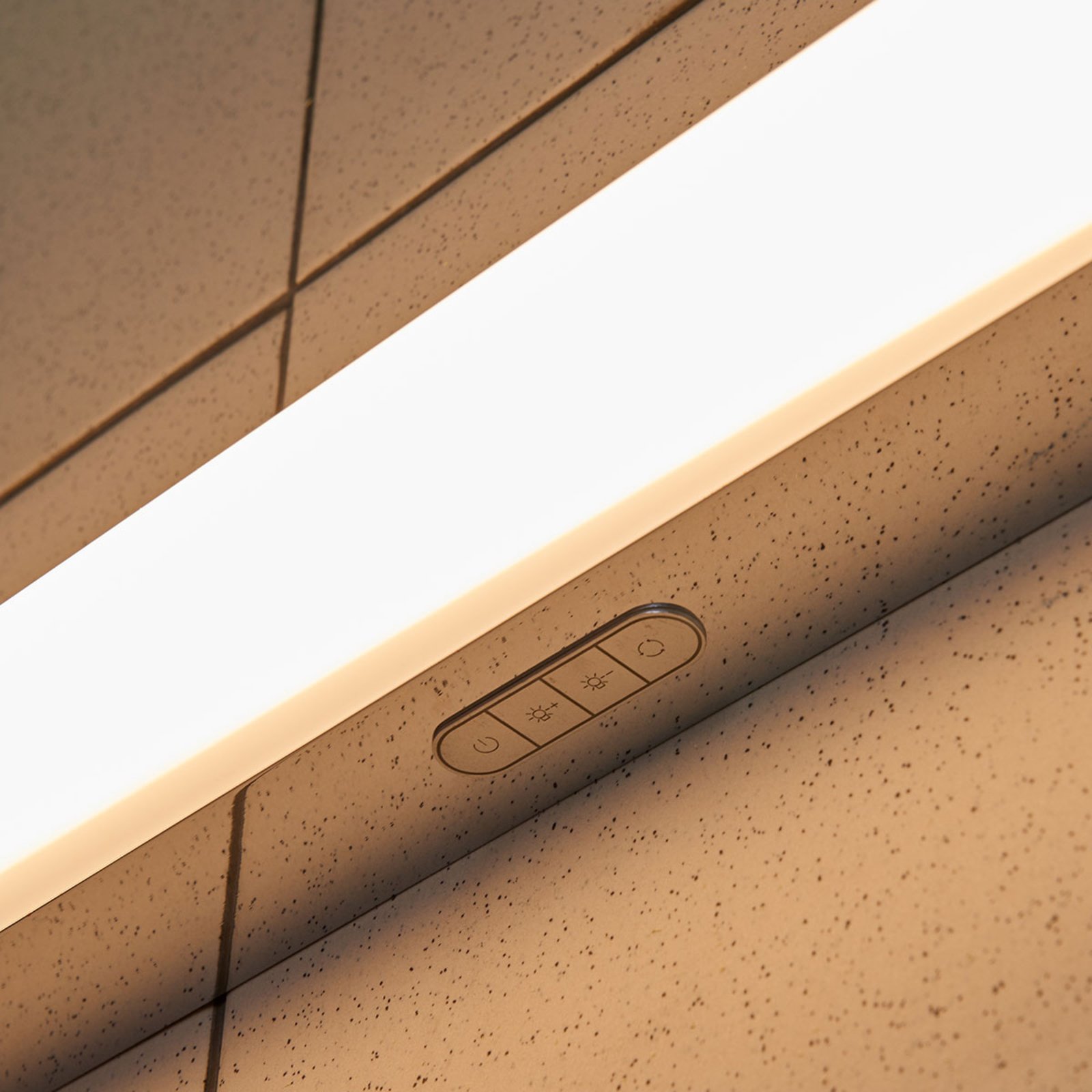 "Jesko" vonios kambario LED sieninis šviestuvas 3 000-6 500K, 33 cm