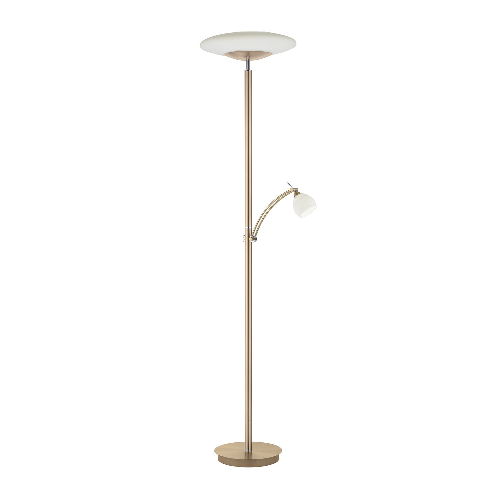 Troy LED floor lamp with a reading arm, dimmable