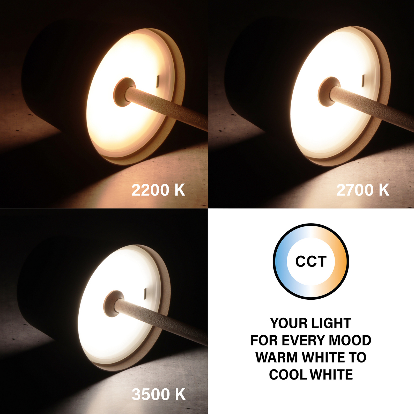 Lampa stołowa LED Roxi, kolor rdzy, metal, IP54, ściemniana