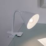Paulmann Vitis clip-on light, white