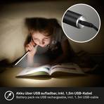 Everywhere LED table lamp, USB with battery, black