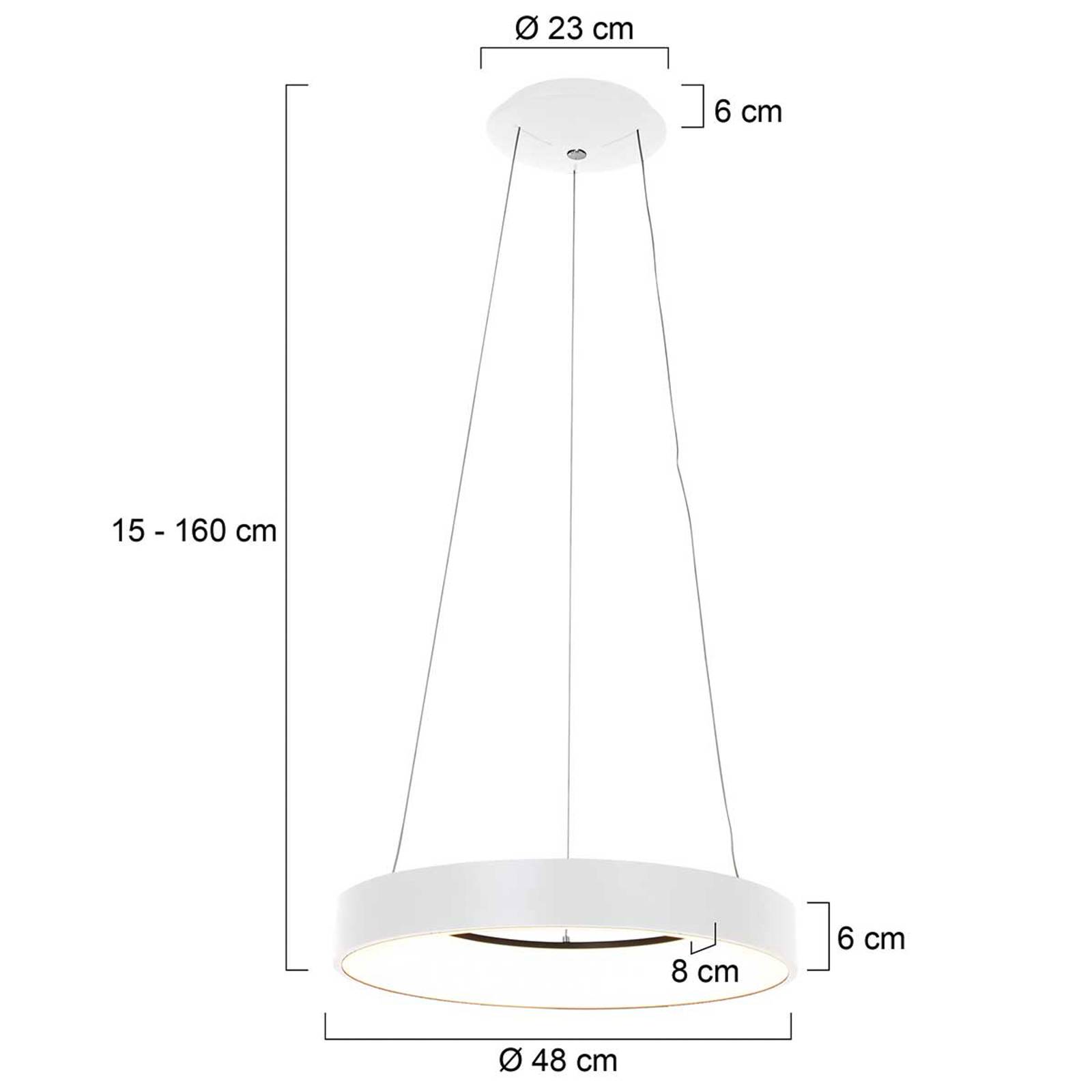 Image of Steinhauer Suspension LED Ringlede, Ø 48 cm, blanche 8712746132854