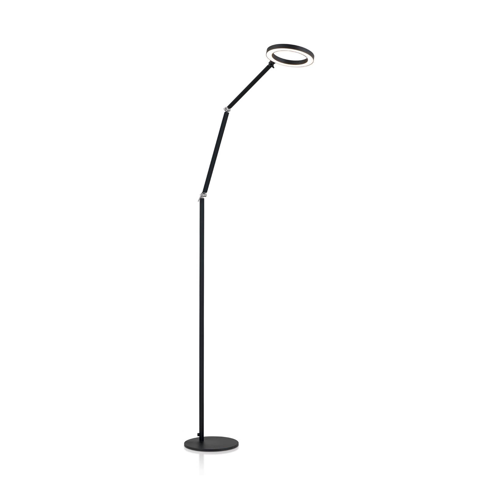 LED-Stehlampe Ringo schwarz Metall verstellbar dimmbar