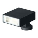 WEVER & DUCRÉ Stake 1.0 LED-Erdspießstrahler