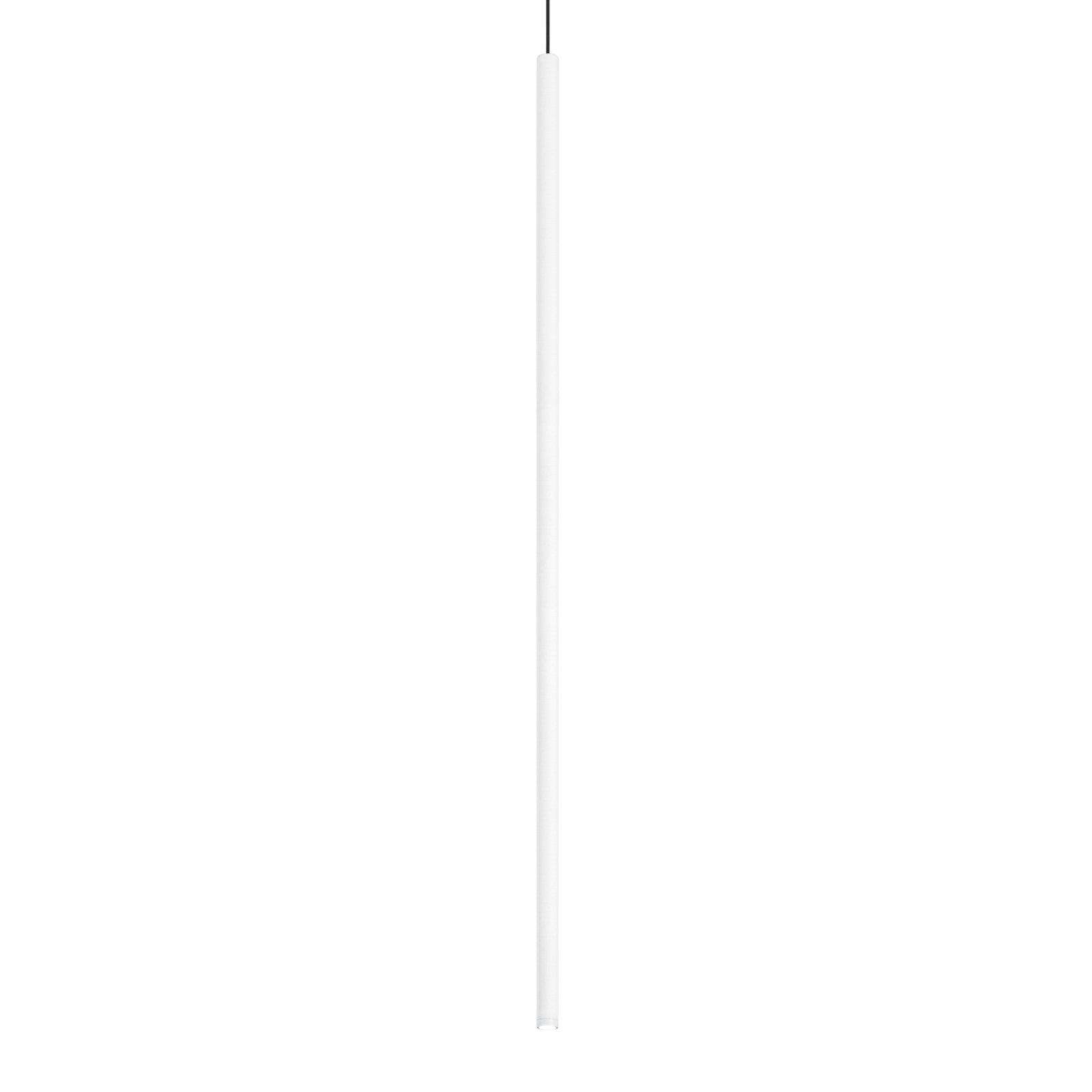 Ideal Lux Filo LED pendant light, white, metal, long cable