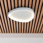 Argesa LED ceiling light, Ø 42 cm, white, CCT, remote control
