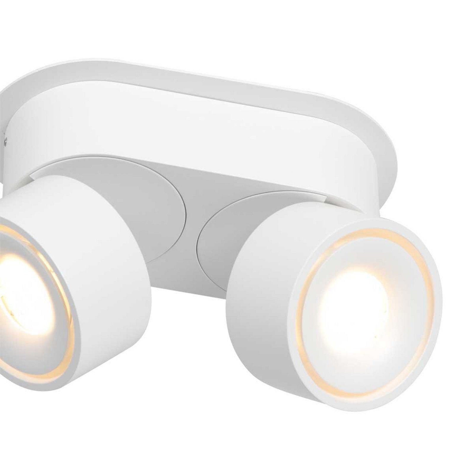 LED ceiling spotlight Fez, white, 2-bulb, metal, swivelling