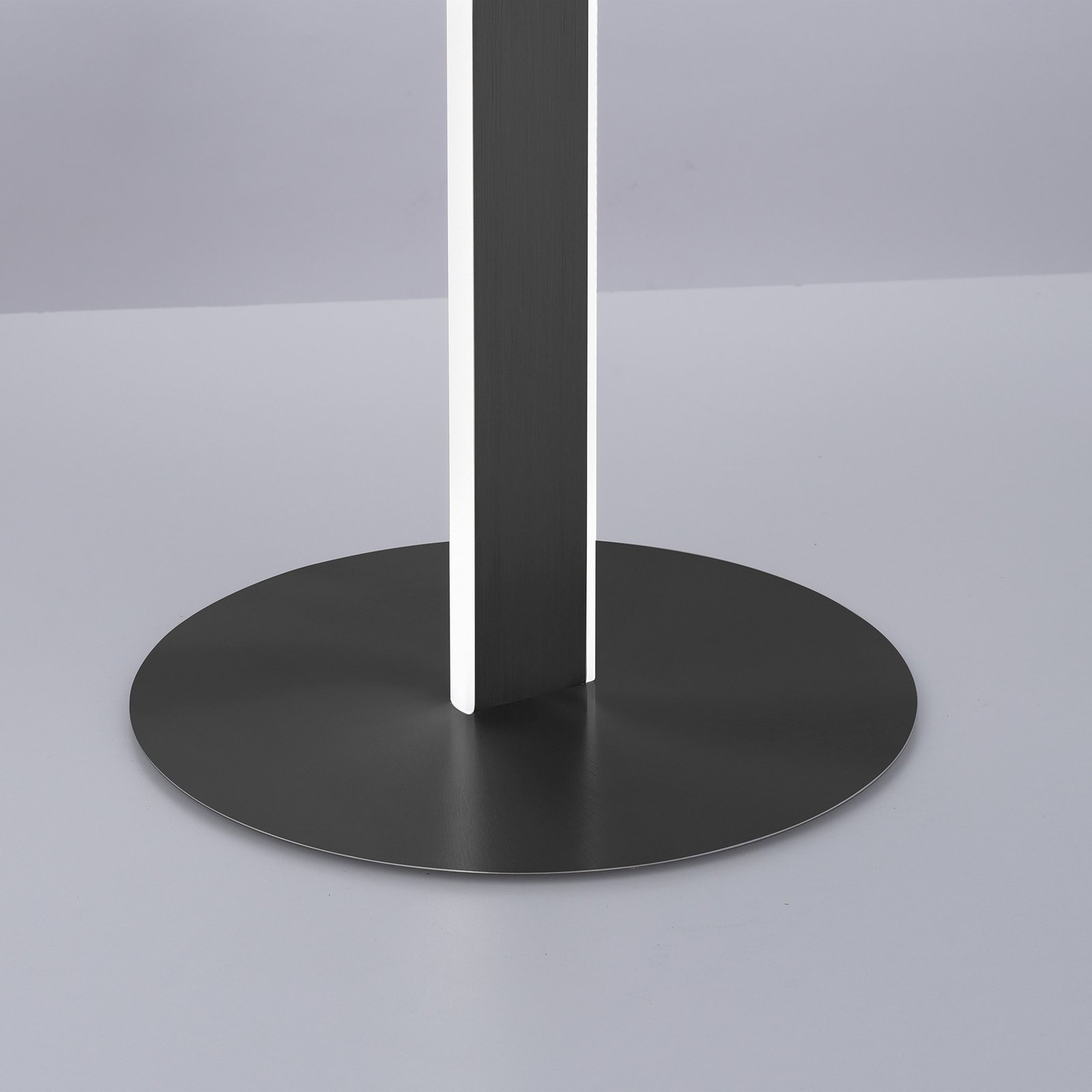 Paul Neuhaus Q-VITO lámpara de pie LED, antracita