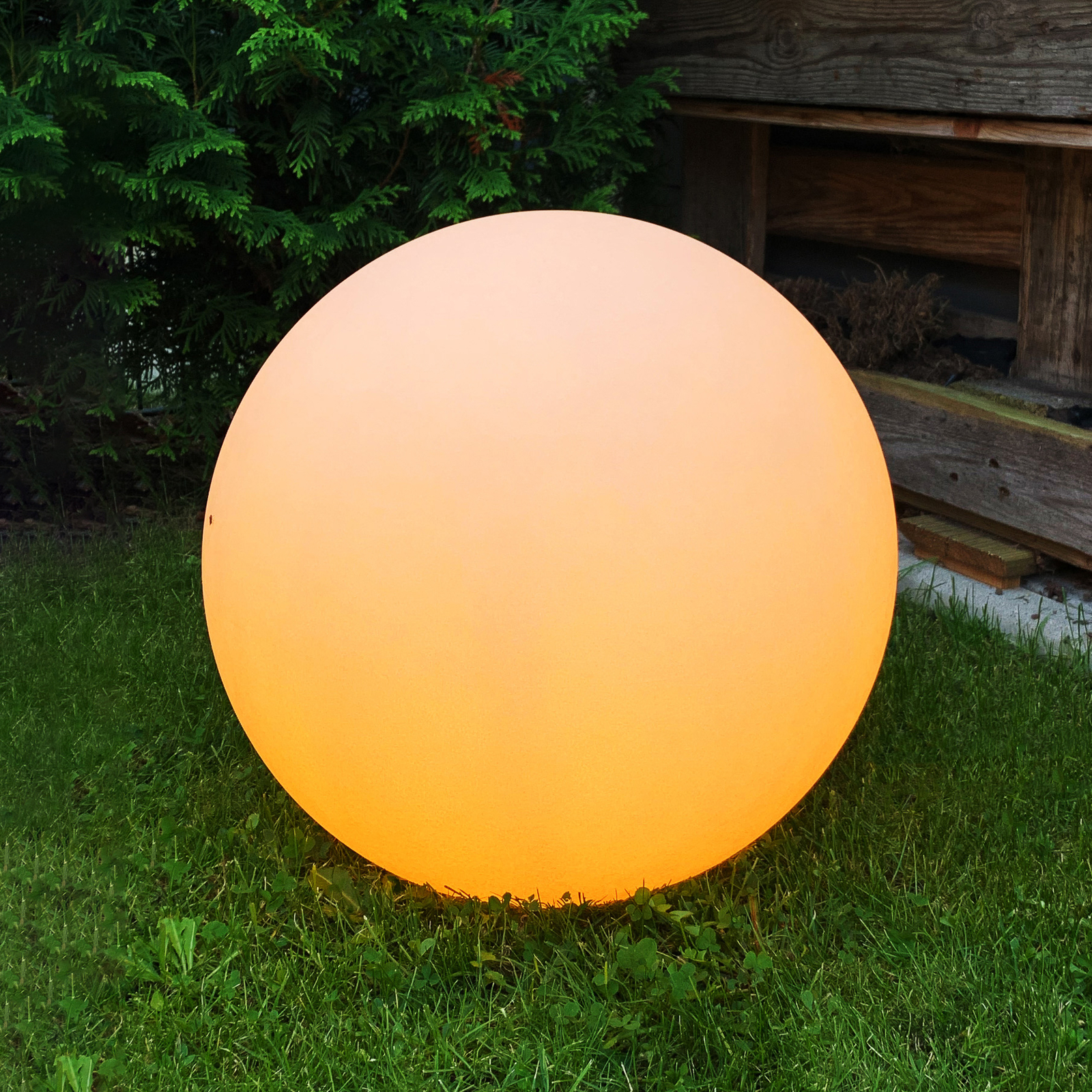Müller Licht tint Calluna -LED-pallo, hiekka, 30cm