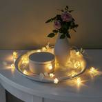 Leaves and Flowers LED string lights clear/white