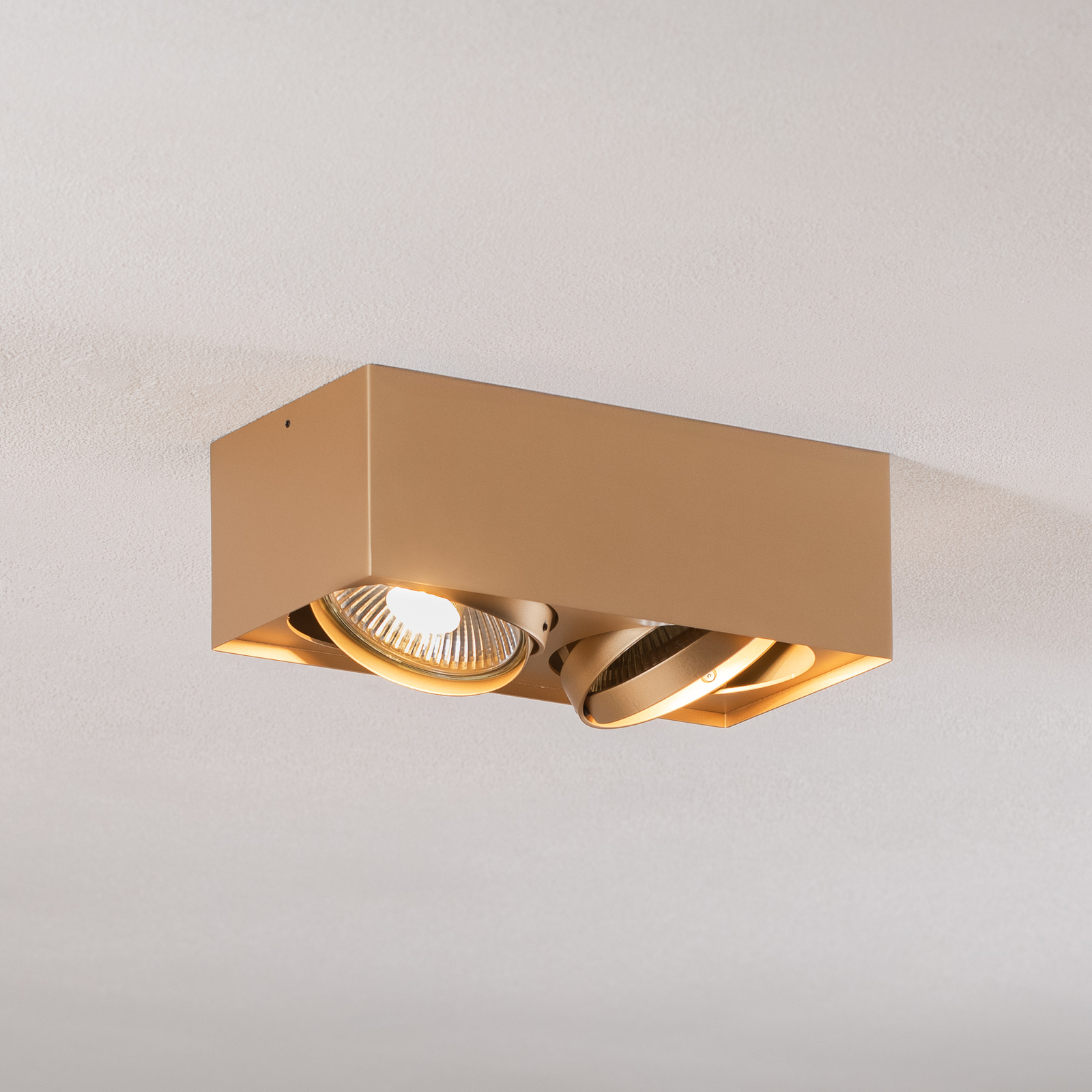 Spot pour plafond Riesta, doré, à 2 lampes