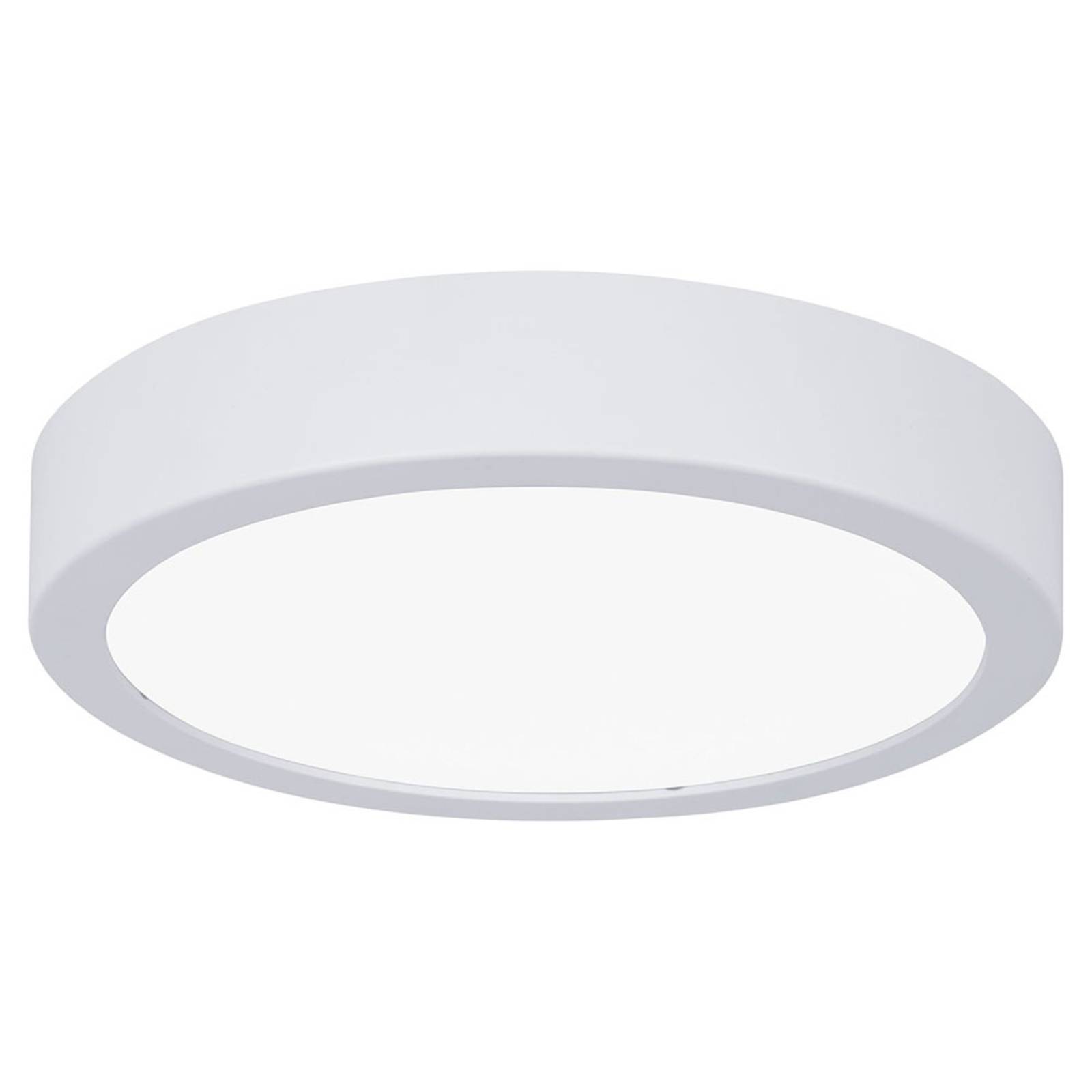 Paulmann Aviar LED lámpa Ø22cm feh. 4000K