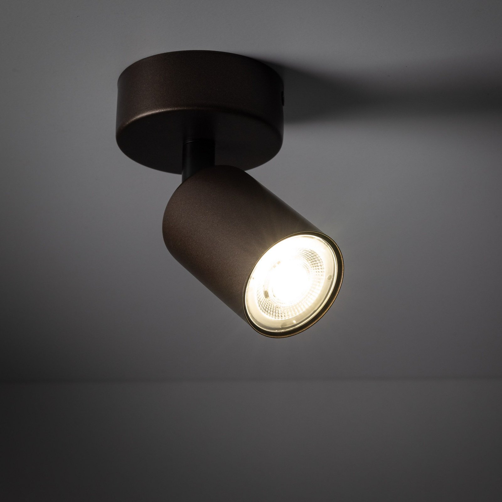 Top downlight, adjustable, brown, 1-bulb