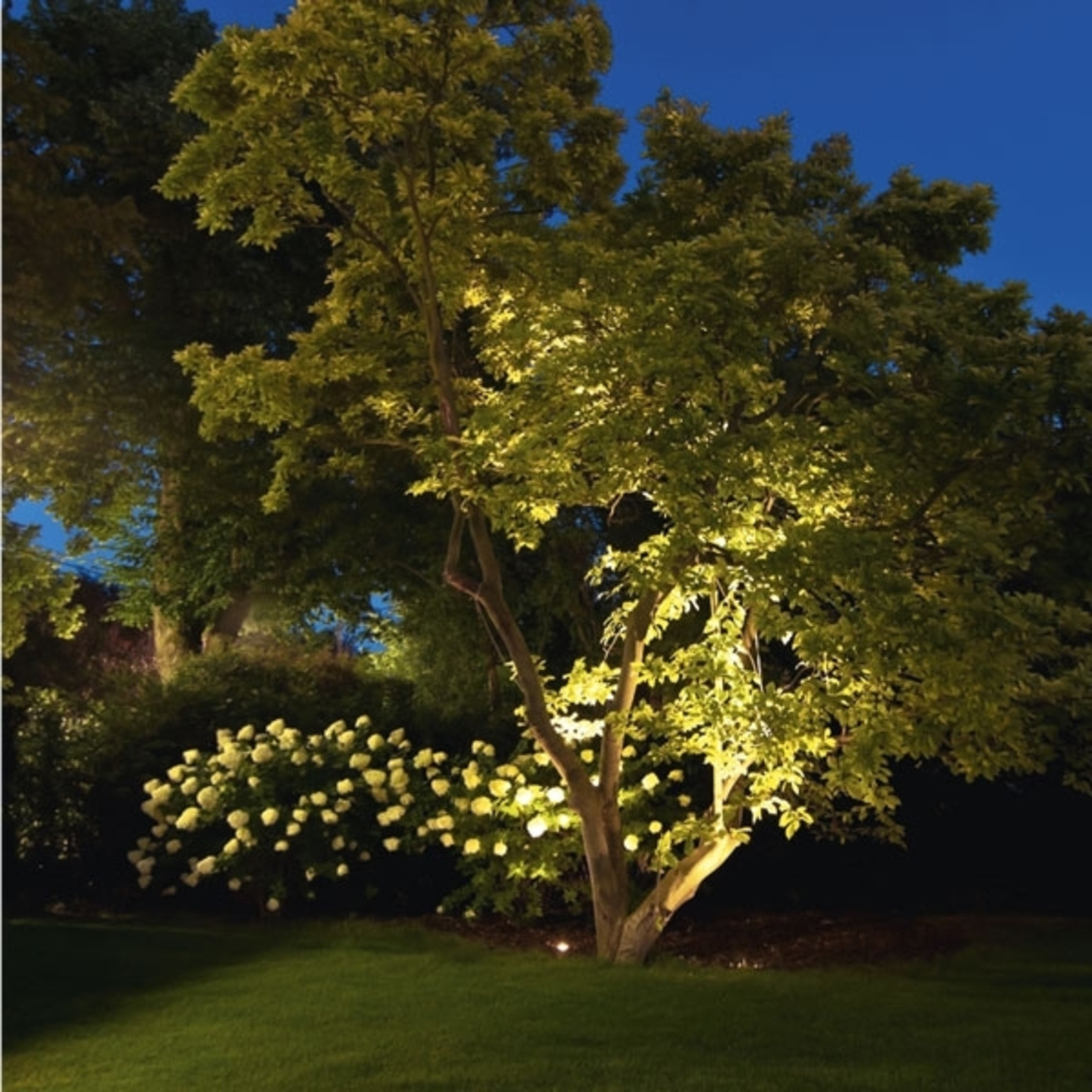 Scotty 6 LED-Bodeneinbauleuchte IP67