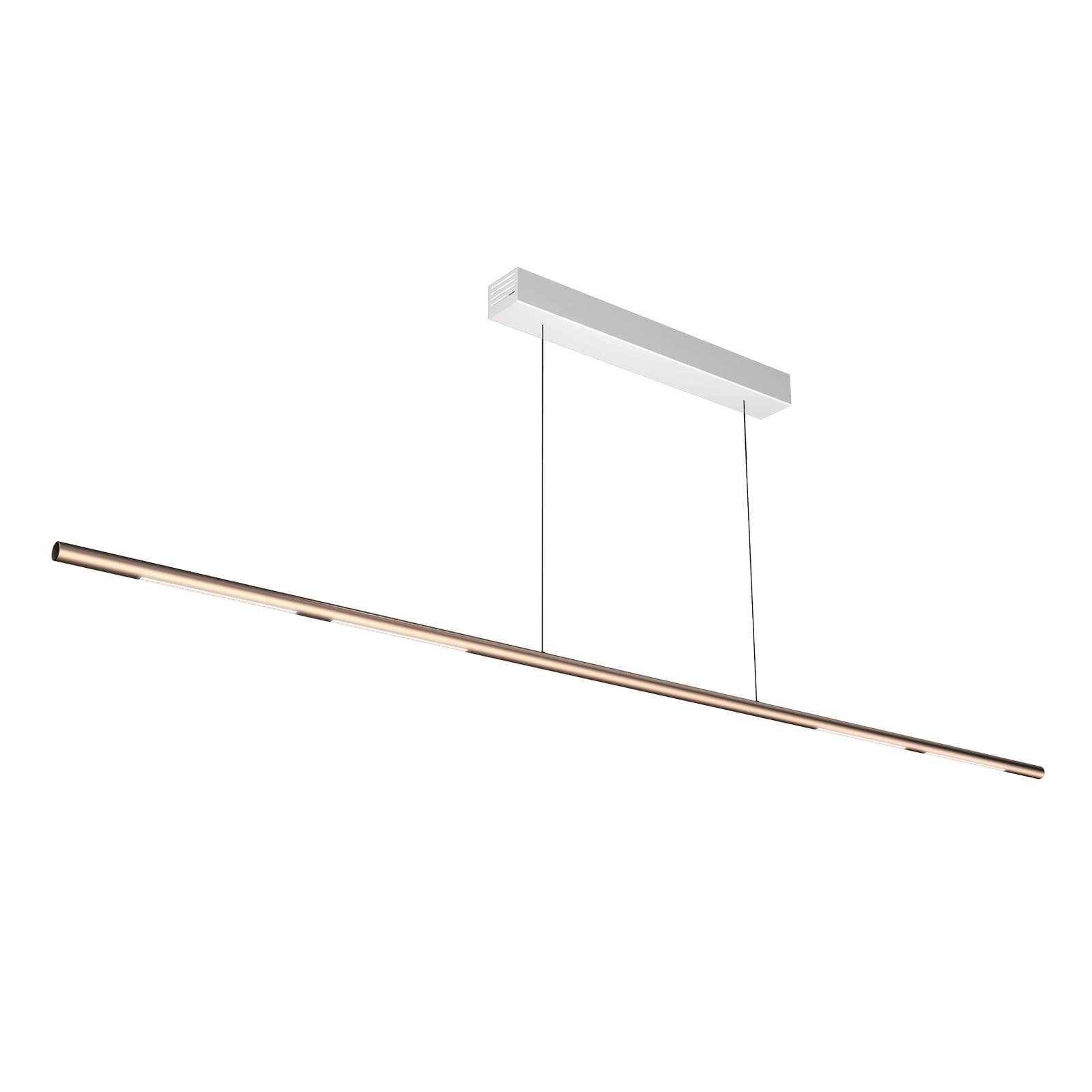 Image of Sattler Palito Linea 3 000 K TRIAC 175cm bronze 