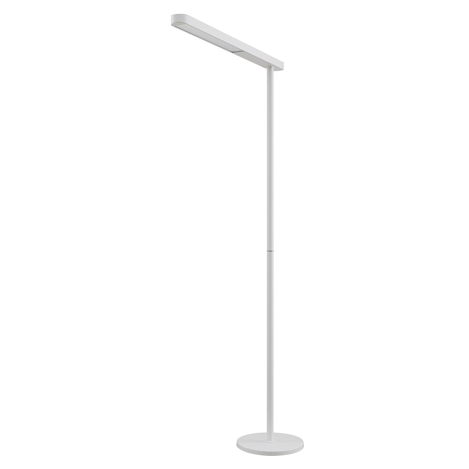 PRIOS Prios Jalima LED office floor lamp, white, for Workroom / Office, aluminium, iron, PMMA, 35.5 W, L: 97 cm, W: 32 cm, H: 185 cm