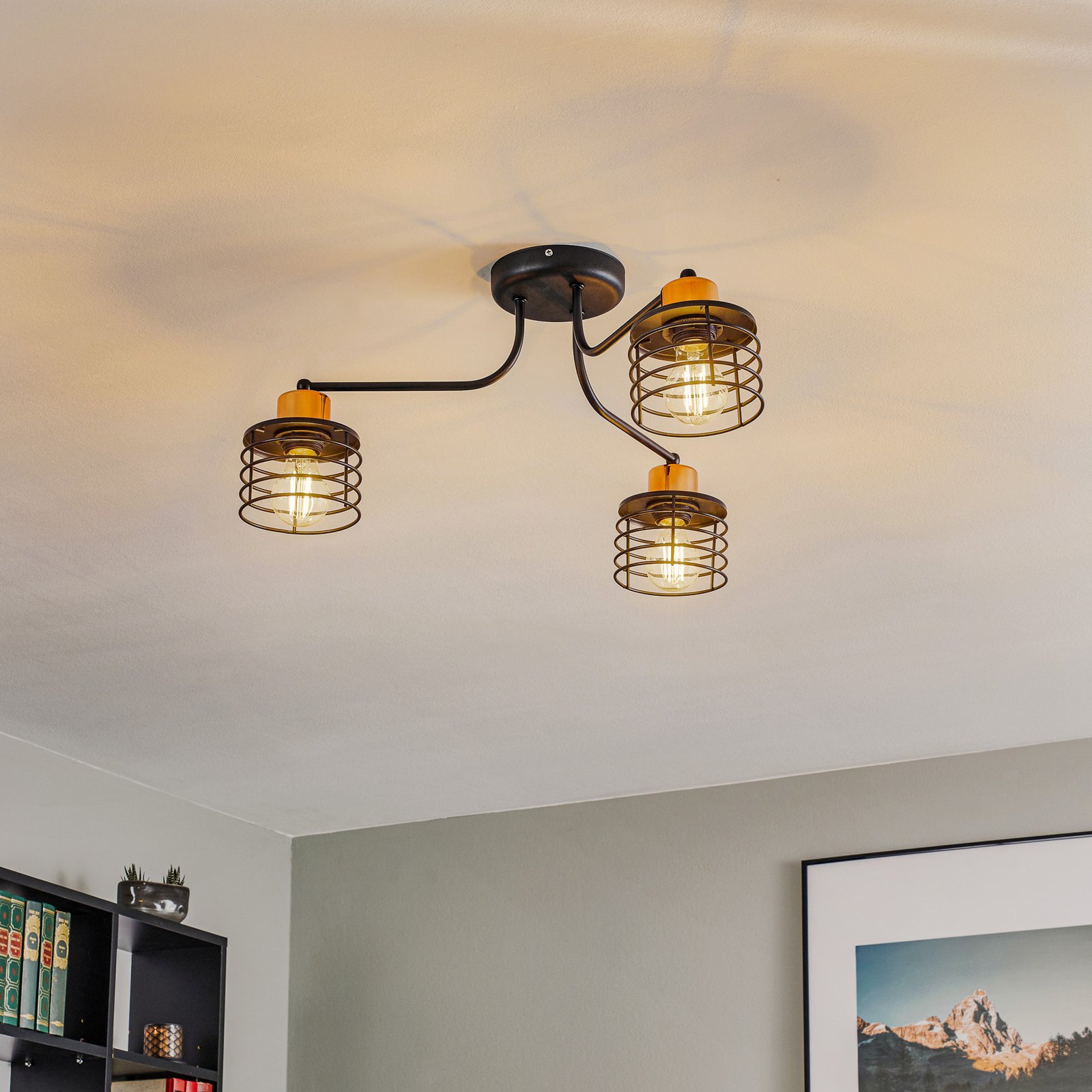Edison ceiling light, 3-bulb