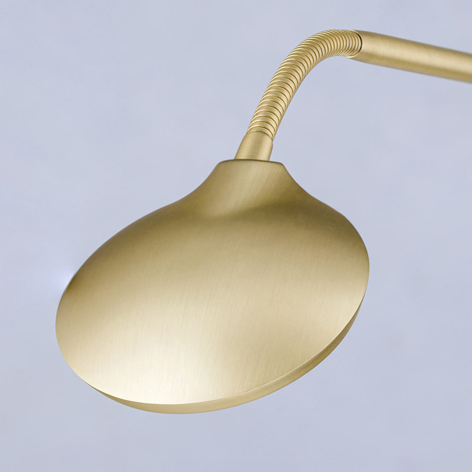 Cobra LED floor lamp, 2-bulb, matt brass