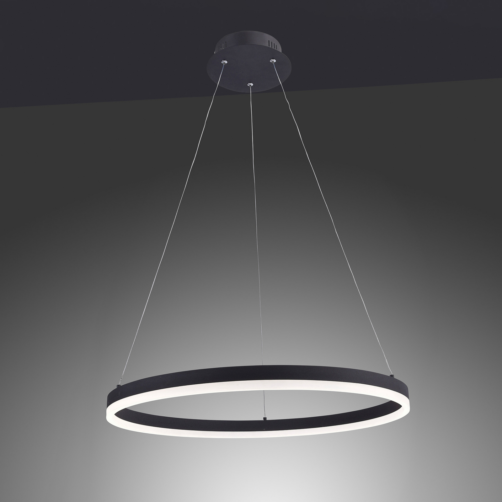 LED pakabinamas šviestuvas „TITUS“, antracito spalvos, Ø 60 cm, metalinis, su
