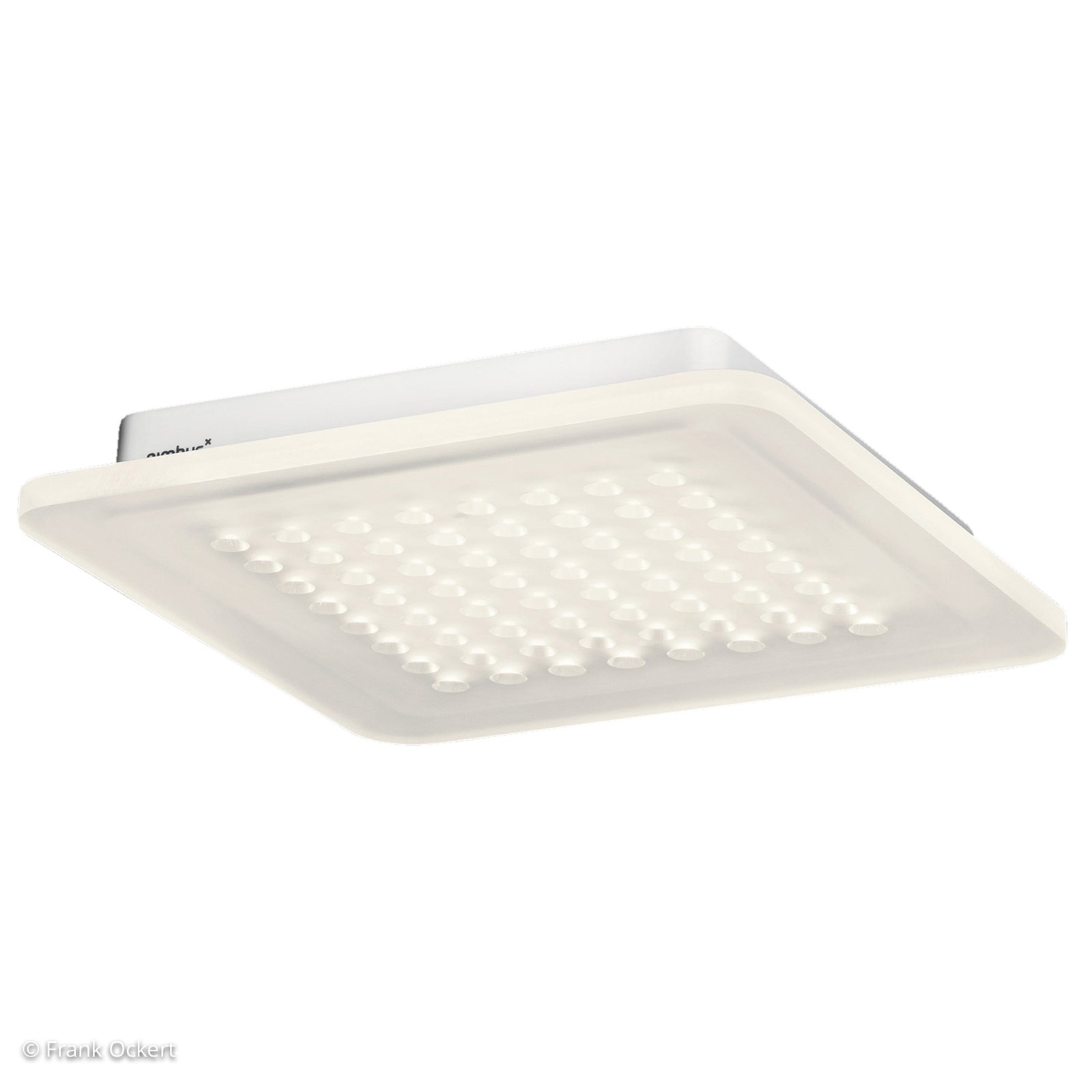 Nimbus Modul Q 64 surface-mounted LED light CASAMBI dimmable