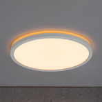 Bronx 2,700 K LED ceiling light