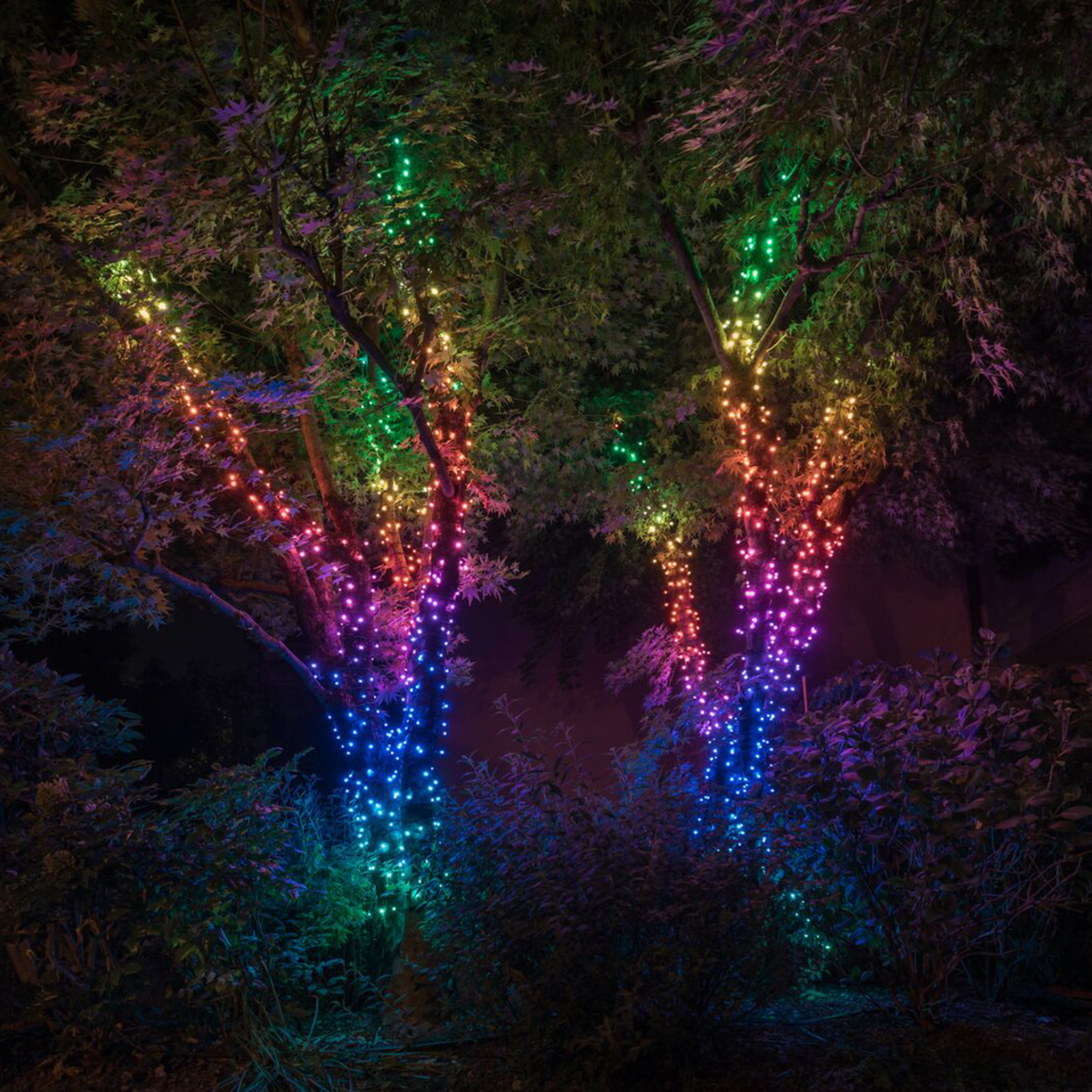 Twinkly fairy lights RGB, black, 250-bulb 20m