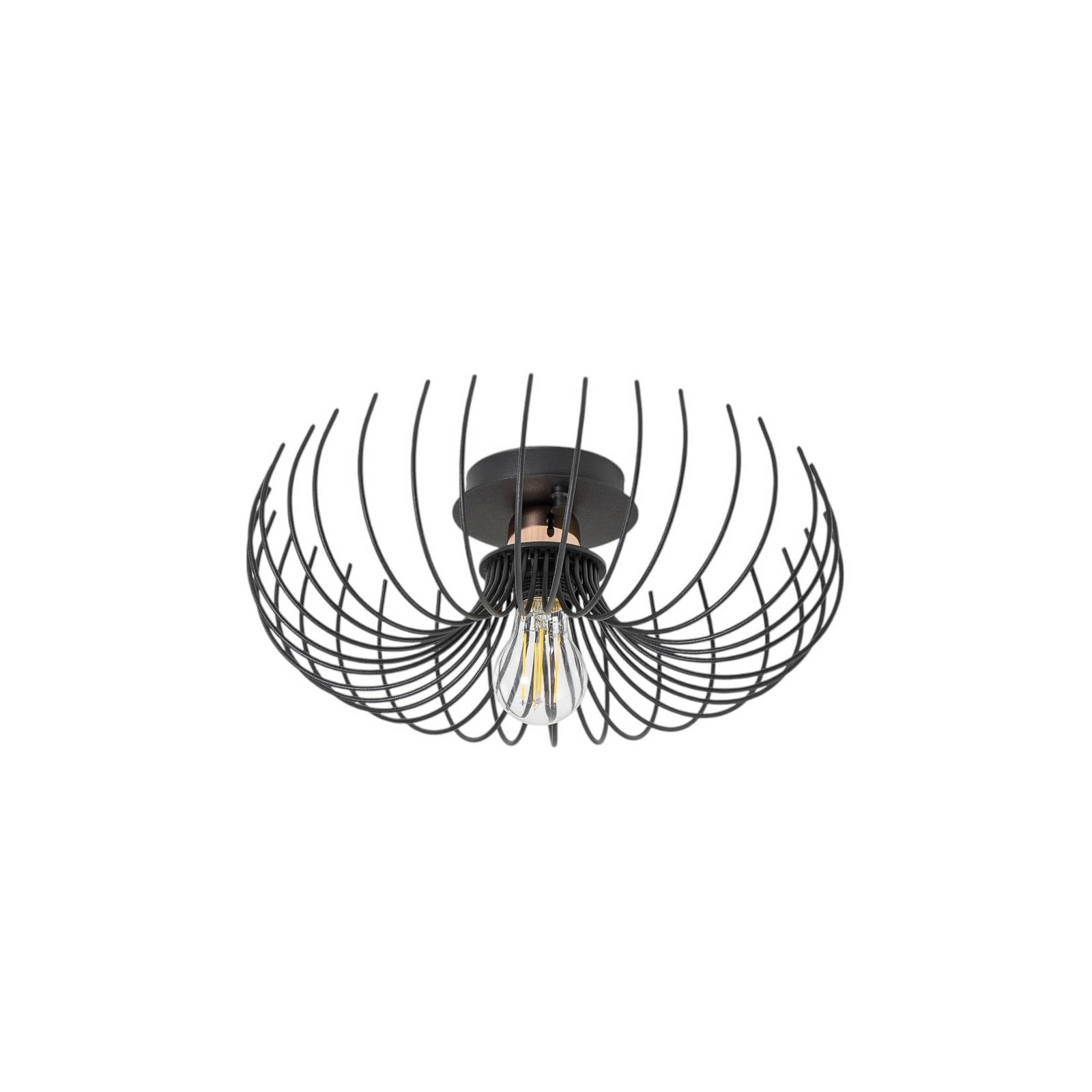 Deckenleuchte Aspendos N-641, schwarz, Metall, Ø 36 cm