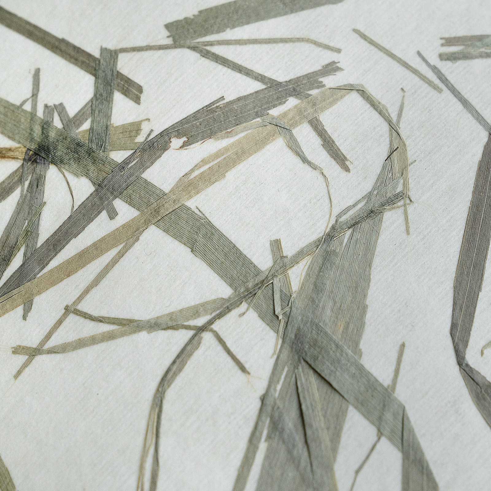 Plafonieră Oxpark, Ø 42 cm, verde/alb/negru, material textil