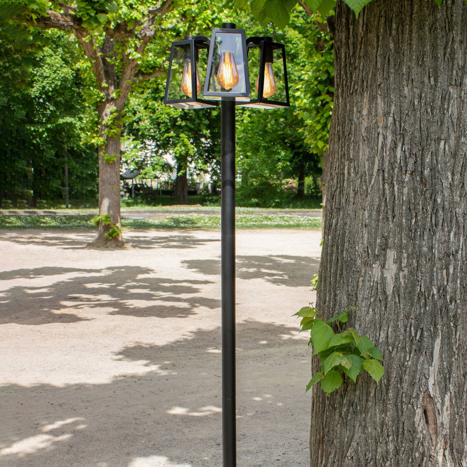 LUTEC Lampadaire d’extérieur Fia 3 lampes IP44