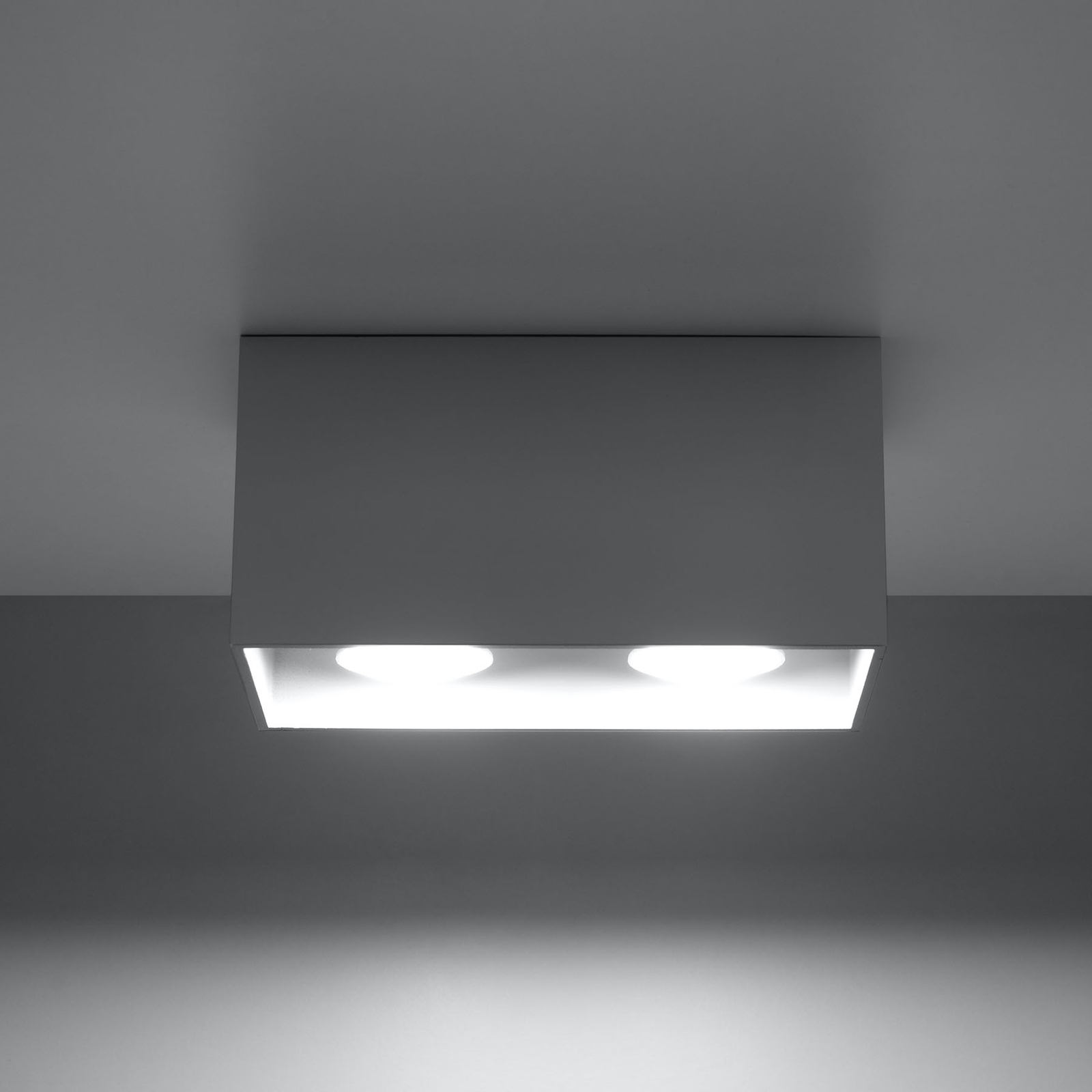 Ara Maxi aluminium ceiling light 2-bulb grey