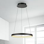 Paul Neuhaus Lampa wisząca LED Hoop, czarna, Ø 57 cm, ściemniana