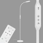 LED stojací lampa Office Remote, dálkové ovládání, bílá