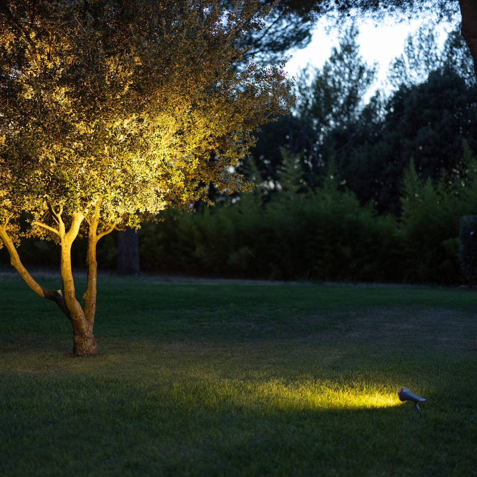 Les Jardins Spot solaire LED Spot capteur lumière du jour, dim