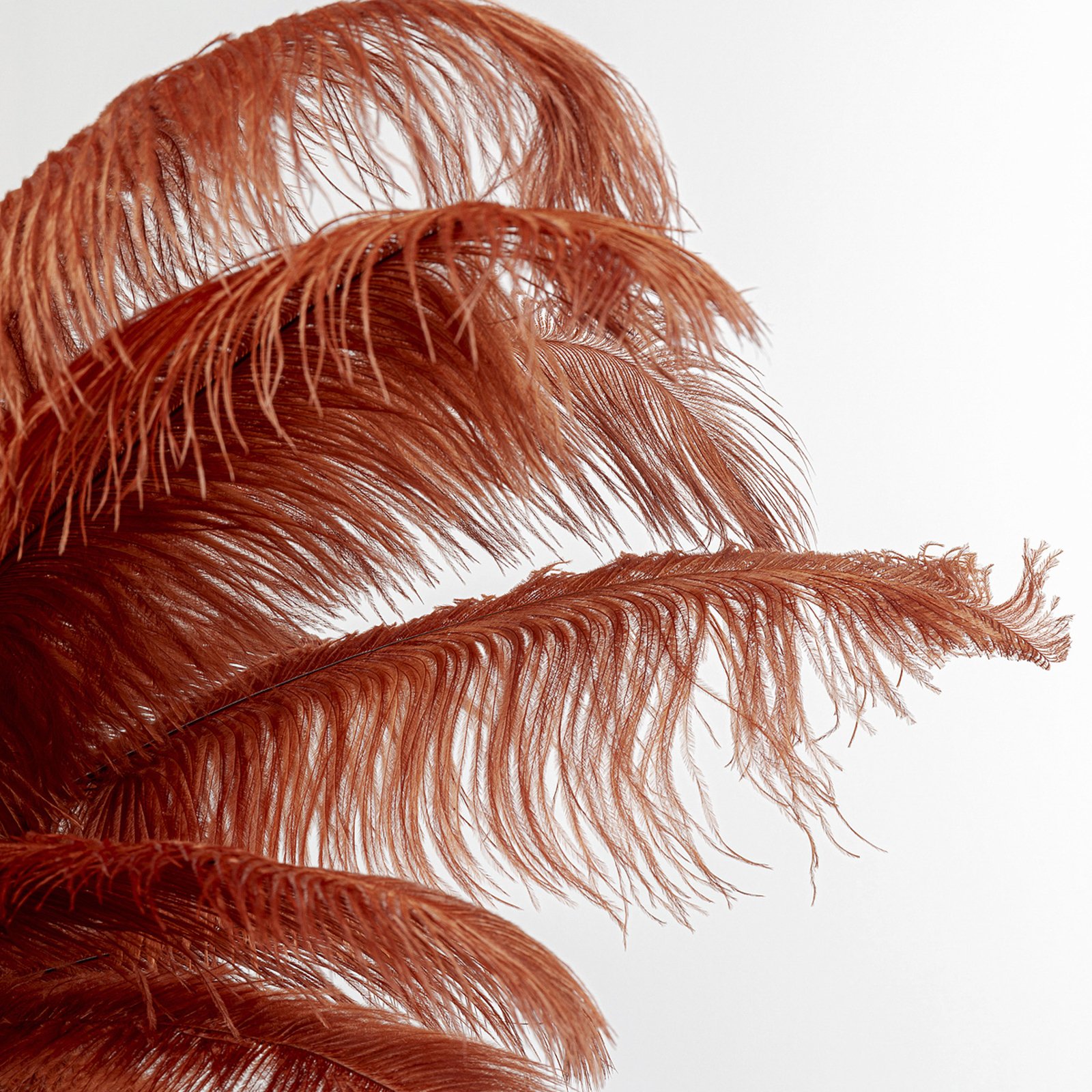 Kare Candeeiro de pé Feather Palm com penas, vermelho ferrugem