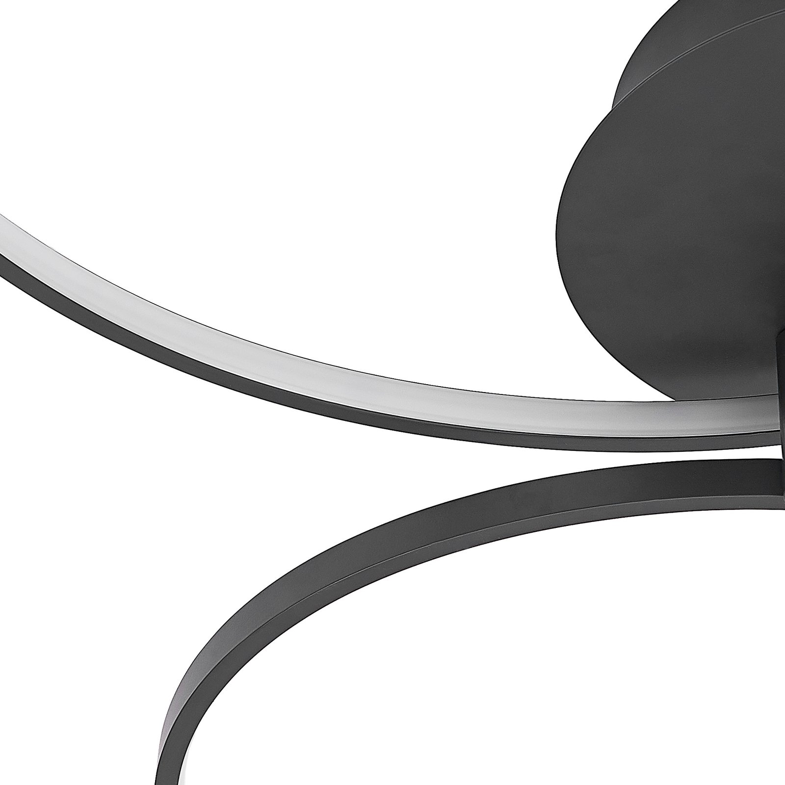 Rayk LED Taklampe Matt Black - Lindby