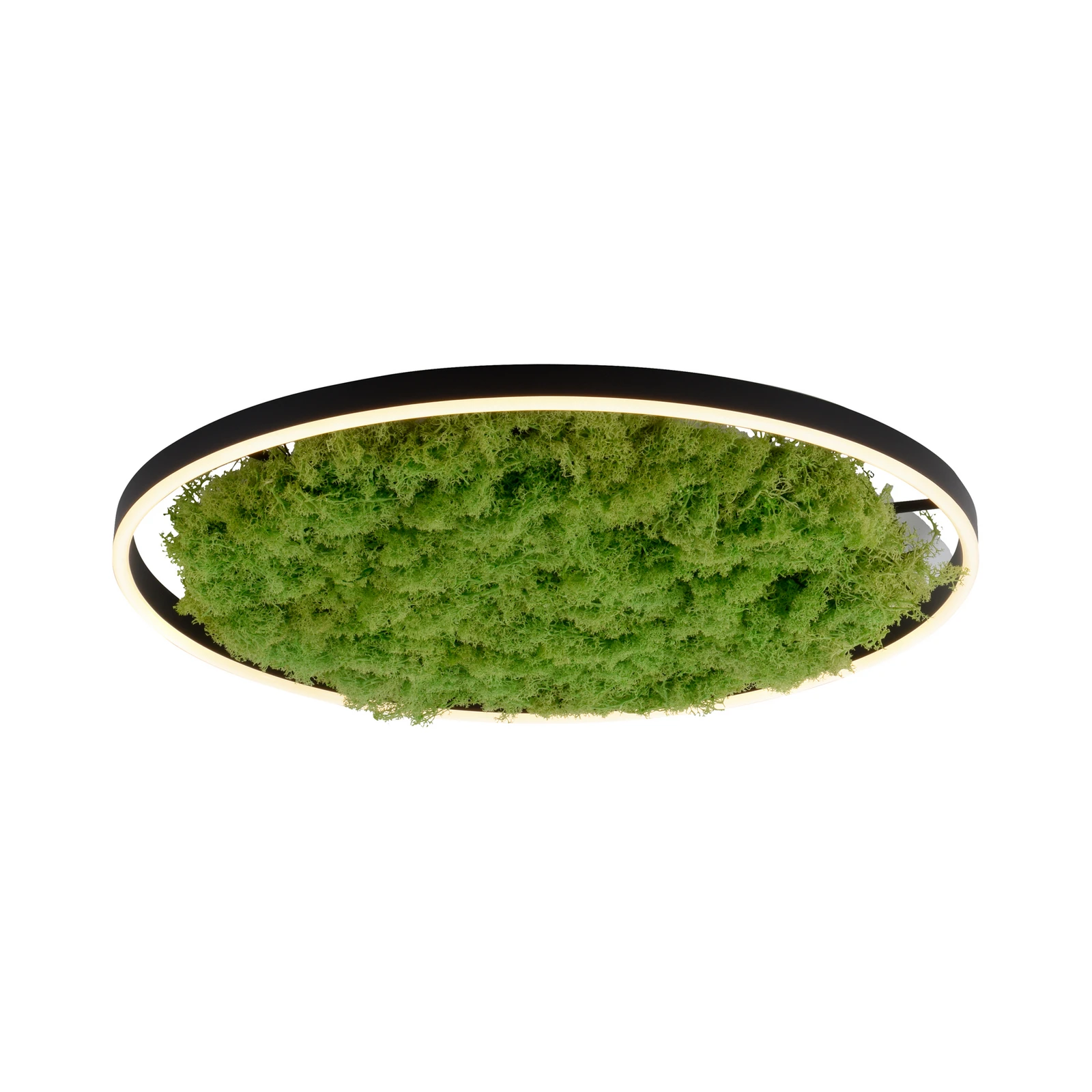 LED-Deckenlampe Green Ritus, Moos dimmbar Ø58,5cm