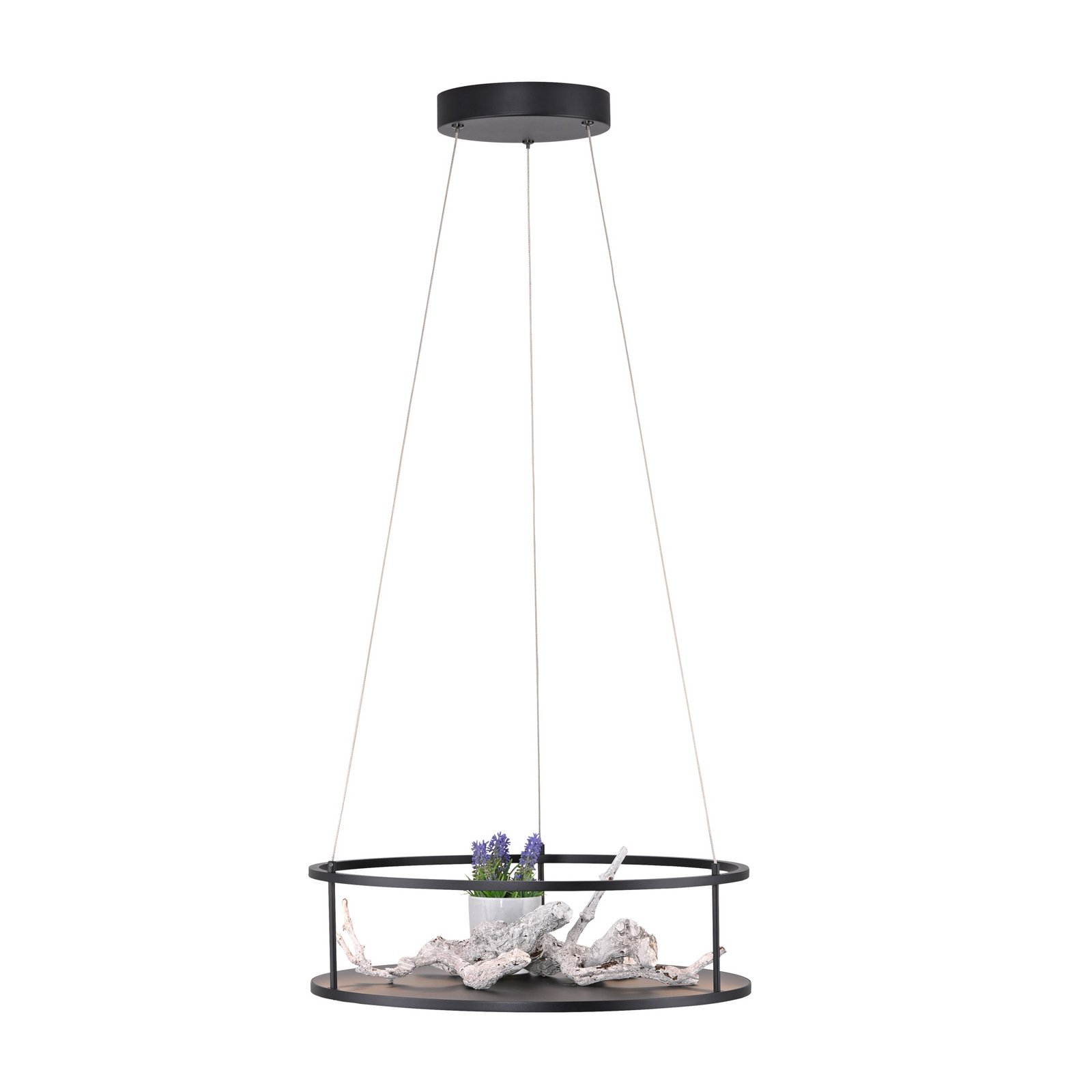 Paul Neuhaus lampă suspendată LED Contura, negru, Ø 50 cm